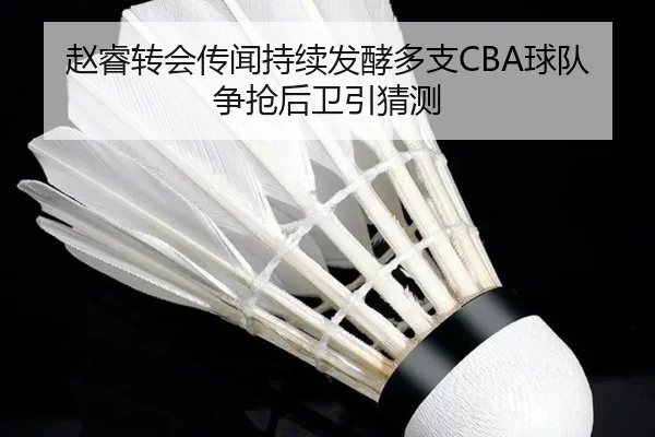 赵睿转会传闻持续发酵多支CBA球队争抢后卫引猜测